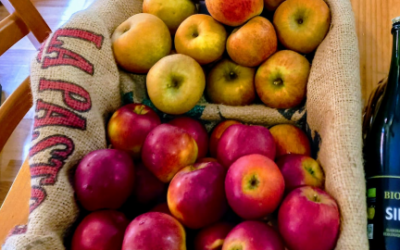 🍎🍎🍎🍎🍎🍎🍎 Ja tenim les pomes de muntanya de Biolord a la botiga!!!